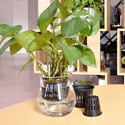 40PCS Net Pots Cups for Hydroponics 3inX20 2inX20