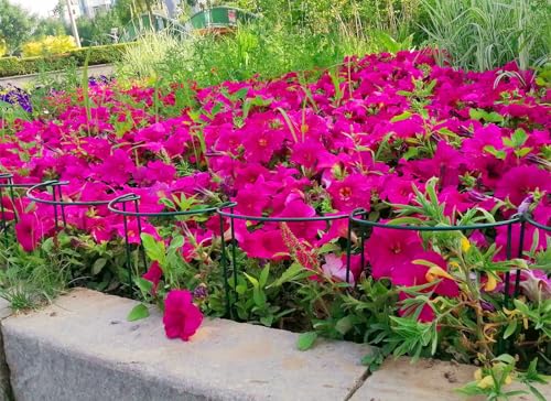 12 Pack 15.8 Inch High Plant Stake,Garden Plant Support,Half-Round Peony Cage Plant Ring Hoop - size: 9.5x15.8Inch-12Pack