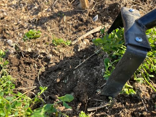 500W Hula-Ho Hand Weeder with Wood Handle & Rubber Grip - size: 14 Inches Wood Handle