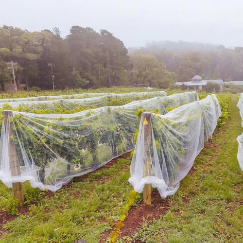 15 x 50 ft Garden Mesh Netting Insect Mosquito Net, White, 1 Pcs - size: 15 x 50 ft