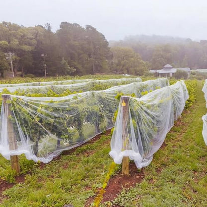 15 x 50 ft Garden Mesh Netting Insect Mosquito Net, White, 1 Pcs - size: 15 x 50 ft