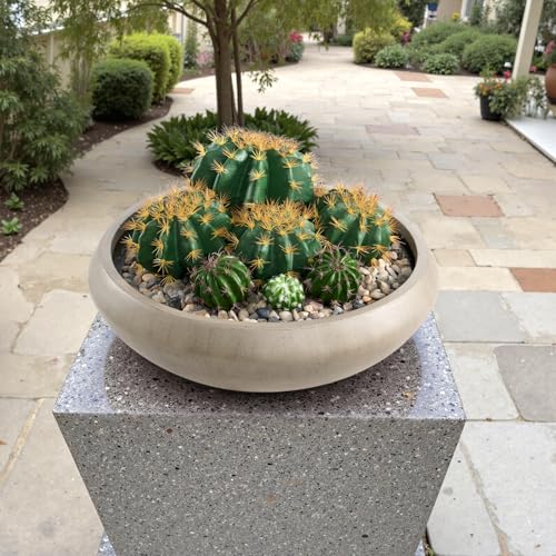 23.3" Dia x 7.9" H Extra Large Bowl Planter, Weathered Concrete Flowerpot - color: Natural, size: Large