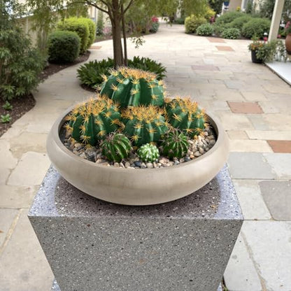 23.3" Dia x 7.9" H Extra Large Bowl Planter, Weathered Concrete Flowerpot - color: Natural, size: Large