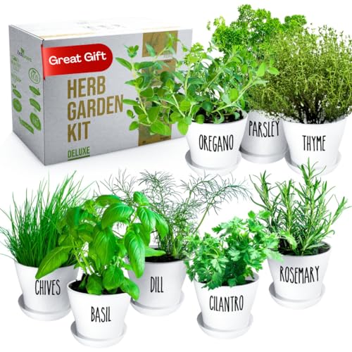 Herb Garden Starter Kit - 8 USA Culinary Herbs - color: 8 Herb