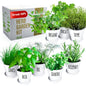 Herb Garden Starter Kit - 8 USA Culinary Herbs - color: 8 Herb