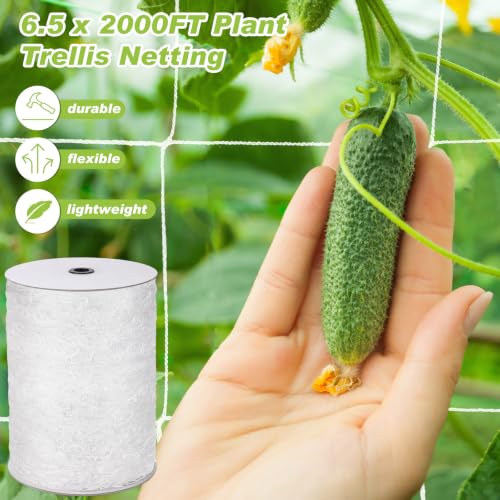 Berlune 6.5 x 2000 ft Trellis Netting Roll Heavy Duty Nylon Garden Trellis Netting with 6 Inch Mesh Soft Plant Support Net for Climbing Plants, Grape Racks, Growing Support Bean, Pea, Tomatoes - size: 6.5 x 2000 ft