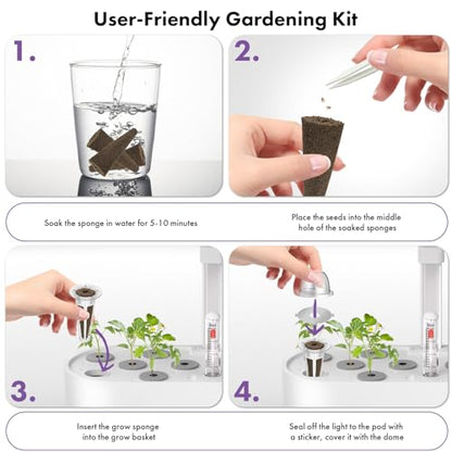LYKOCLEAN Salad Romaine Lettuce Pods for AeroGarden, Ahopegarden, iDOO Hydroponics Growing System, 350 Seeds+ Including American Fast Lettuce, Paris Island Cos Lettuce, Buttercrunch Lettuce(7-Pods) - color: Lettuce, size: 7pods