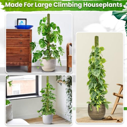 DUSPRO 59" Large Green Mesh Moss Pole Monstera Plant Support, (1pc., 59'') - size: 59" GREEN MESH MOSS POLE