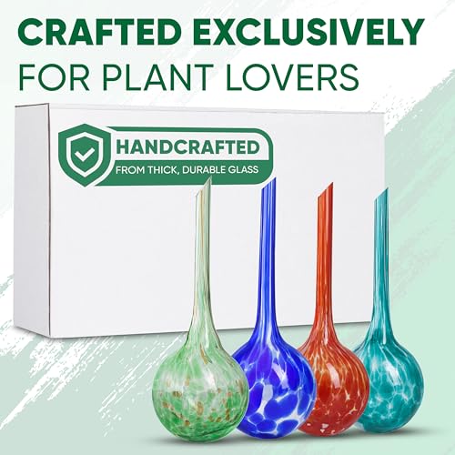 Plant Watering Globes Set of 4, Large - Glass Self Watering Globes - style: Set of 4 Large