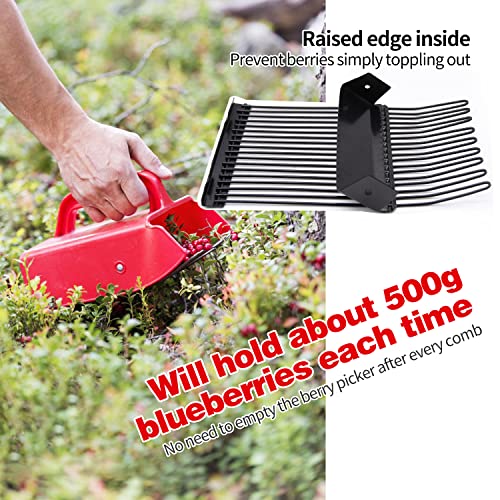 2 Pack Berry Pickers, with Metallic Comb and Ergonomic Handle - color: 2 pack