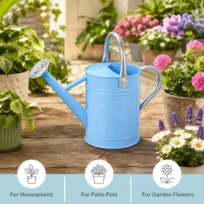 1 Gallon Metal Watering Can for Indoor Outdoor Plants, Blue - color: Blue