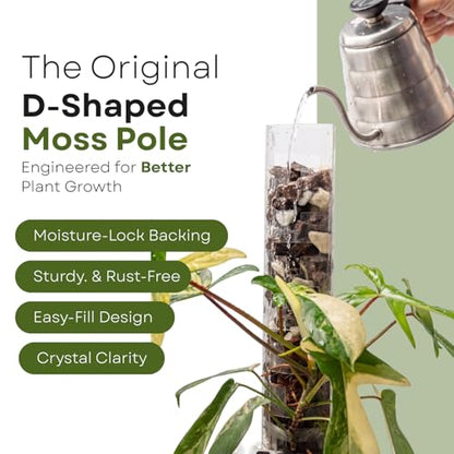 THICCLY V3 GrowPole Large 10 Pcs - Front Opening Plastic Moss Poles for Climbing Plants, D-Shaped Moss Pole for Monstera Plant Support Plant Climbing Pole, Plastic Plant Pole Support for Philodendron - size: V3 GrowPole Large 10 Pcs