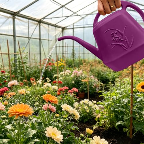 Plastic Plant Watering Can - Rose Red- 1/2 Gallon - color: Rose Red