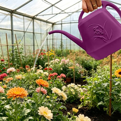 Plastic Plant Watering Can - Rose Red- 1/2 Gallon - color: Rose Red
