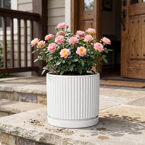 10 Inch Plant Pot, Ceramic Planters, Round Flower Pots, White - color: White, size: 10 Inch