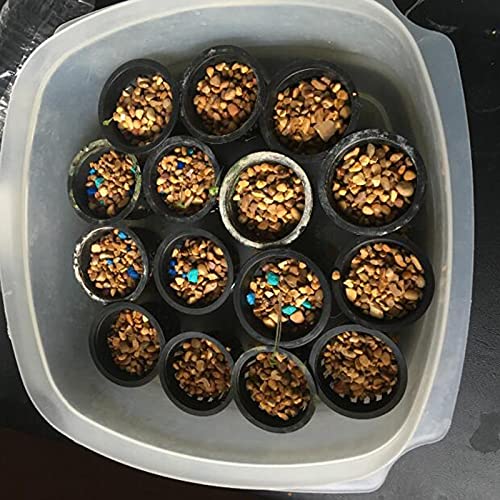 Small Garden Plastic Net Cups Pots Fits in 2 Inch Holes, Set of 40