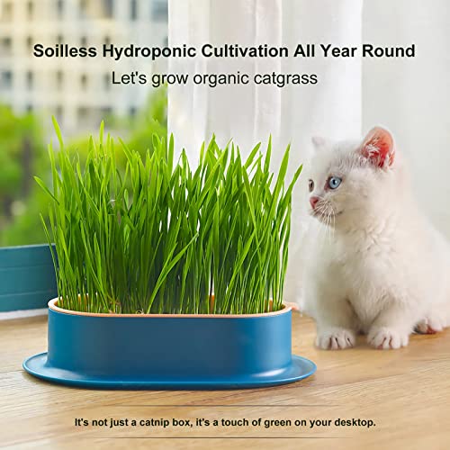 2Pcs Cat Grass Planter for Indoor Hydroponic Wheatgrass Seed Sprout Tray Organic Cat Grass Growing Kit (No Seeds Included) Soilless Pot Planting Box (G) - color: G