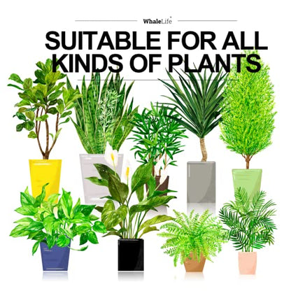 Indoor House Plant Watering Can Small Long Spout Water Pot 2L/67oz (Green) - color: Green