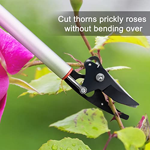 32-Inch Cut and Hold Pruners, Long-Reach Tree Pruner with Rotating Cutter Head, Long Pruning Shears for Garden, Fruit Picking, Branches Trimming