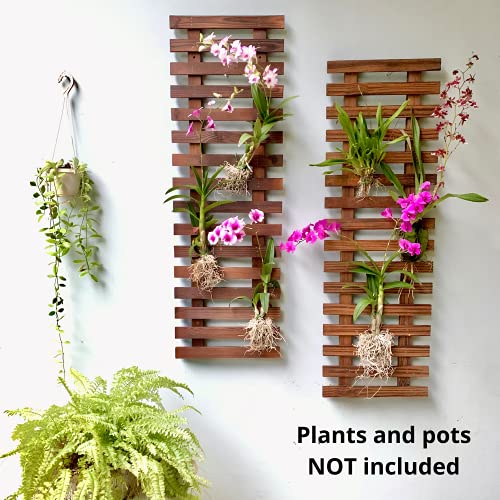 ShopLaLa Wall Planter (90cm, 2 Pack) Hanging Planters for Indoor Plants - size: 90cm (35.4") x 2