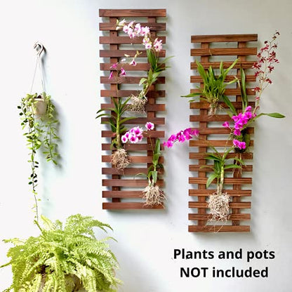 ShopLaLa Wall Planter (90cm, 2 Pack) Hanging Planters for Indoor Plants - size: 90cm (35.4") x 2