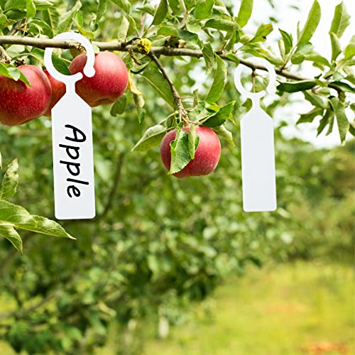 KINGLAKE GARDEN 100Pcs White Plastic Plant Tree Tags Ring Tag