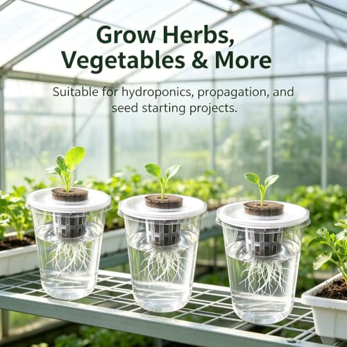 6 Pack Clear Hydroponic Nursery Pots with Humidity Dome for Seed Starting - color: Transparent-6 Pack