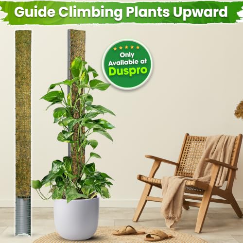 DUSPRO 59" Large D-Shape Moss Pole for Big Climbing Plants, (1pc, 59'') - size: 59" D SHAPED MOSS POLE