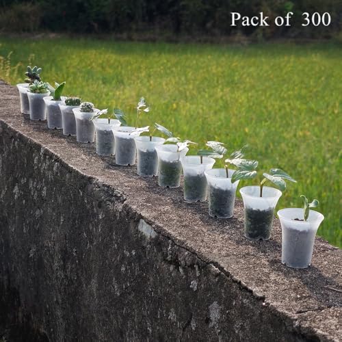 300 Pack 1.80 Inch Tiny Clear Plastic Nursery and Seedling Pot, Mini Transplant Seed Starter Planter with Drain Hole for Germination, Herb, Succulent