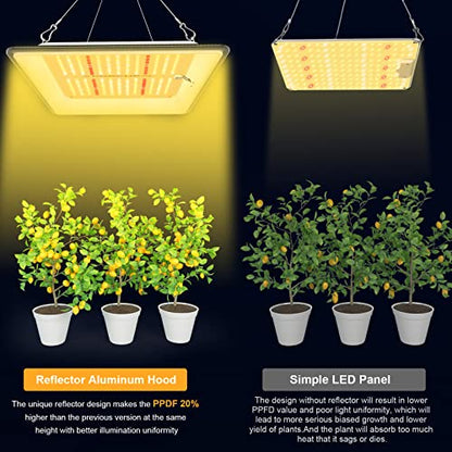KOSCHEAL KT600 65W LED Grow Light, 2.9 µmol/J Full Spectrum