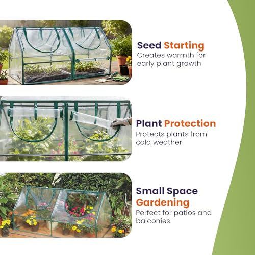 Garden Cold Frame Greenhouse Cloche