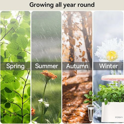 inbloom Fragrant Bouquet Seed Pod Kit for AeroGarden, iDoo, Ahopegarden, GARDENCUBE, 12 Pods (350+ Flower Seeds with Sunflower, Petunia, Mexican Marigold, Cockscomb, French Marigold, Dahlia) - color: Fragrant Bouquet