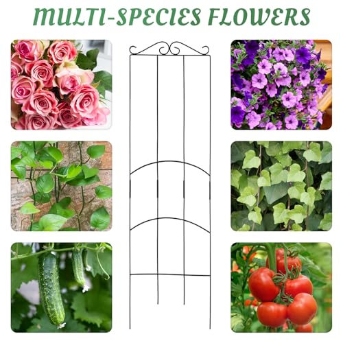 4 Pack 32'' Plant Trellis Indoor - Metal Trellis for Climbing Plants Indoor, Garden Trellis for Climbing Plants Outdoor Houseplants Flowers Vine Ivy, Rectangular Shape, Black - size: 32'' Rectangular Shape