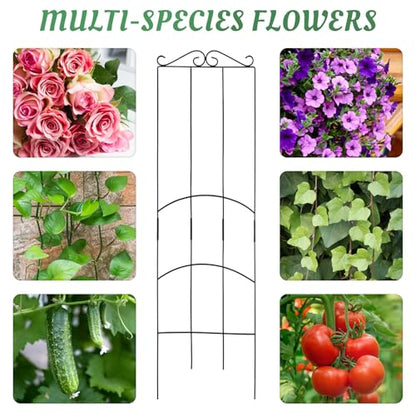 4 Pack 32'' Plant Trellis Indoor - Metal Trellis for Climbing Plants Indoor, Garden Trellis for Climbing Plants Outdoor Houseplants Flowers Vine Ivy, Rectangular Shape, Black - size: 32'' Rectangular Shape