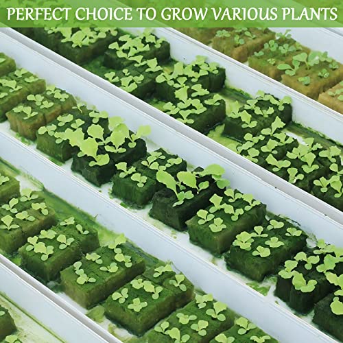 Legigo 1.2 Inch Rockwool Cubes Seed Starter Plugs for Hydroponics, 144Plugs - color: 4 Sheet, size: 1.2" Plugs