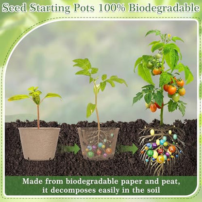 150 Pack Peat Pots for Seedlings 100 4-inch & 50 3.15-inch Round Biodegradable Seed Starter Pots with Drainage Holes for Garden Germination Nursery, Includes 150 Plant Labels & Planting Tools