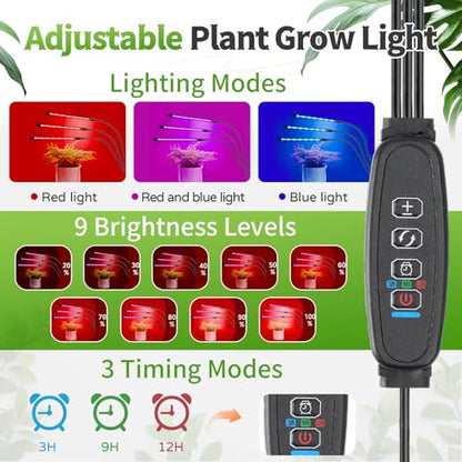 Desktop Mini Indoor Greenhouse with Adjustable Grow Light & Timer - style: 25.6" L x 15.8" W x 20" H