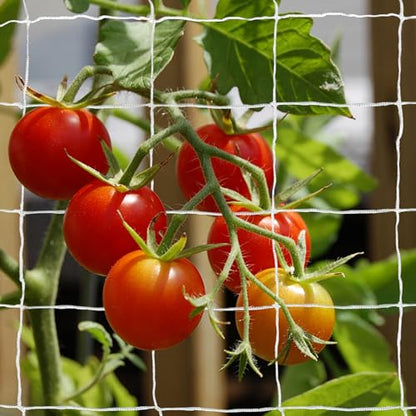 Tcamp Heavy-Duty Polyester Plant Trellis Netting - size: 3.5" Mesh(5*15 Ft) - 2Pack