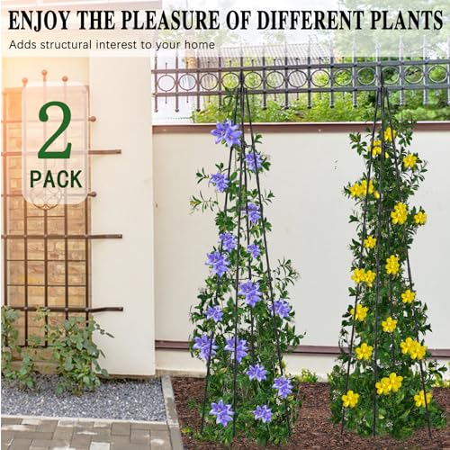 AlisisFores Garden Trellis, 63 inch Tall, 2 PCS