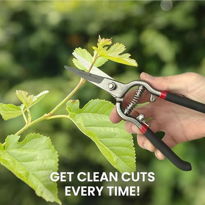 Garden Guru Classic Bypass Pruning Shears Clippers – Heavy Duty Forged Steel Garden Pruners – Safety Lock – Non Slip Comfort Grips – Cuts up to 1” Diameter – Professional Bypass Pruners (4 Pack) - size: 4 Pack, style: Precision Blade