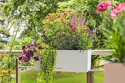 Lechuza BALCONERA Stone 50 Quartz White, Self-Watering Window Box (Railing Planter), H7.5 L19.7 W7.5 in - size: L50 W19 H19 cm