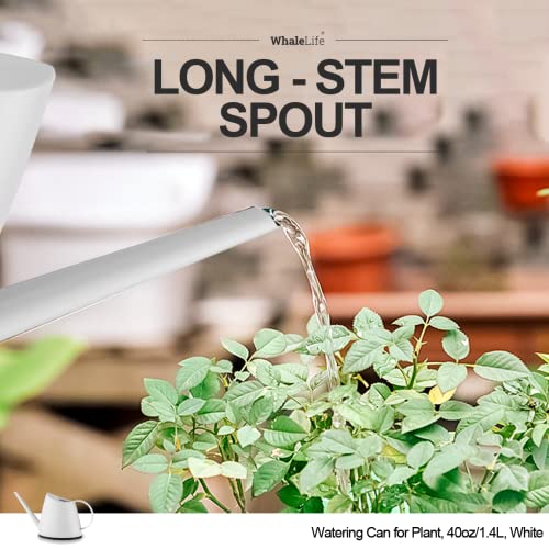 Small Indoor Plant Watering Can Long Spout 1.4L White - color: White