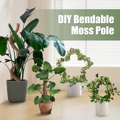 2 Pack Moss Pole 28 Inch Monstera Plant Sticks Support Tall Long Stakes - color: 28inch (2Pack)