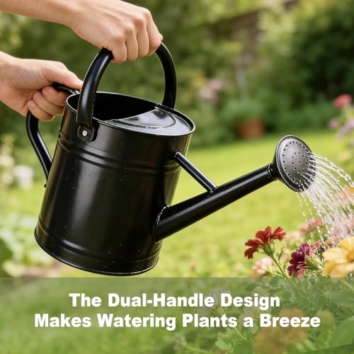 1 Gallon Watering Can for Outdoor&Indoor Plants，Black - color: Black