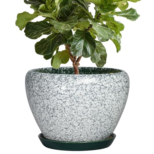 Ceramic Planter, 10 Inch Pots for Plants Indoor, Crackle Green - color: Crackle Green, size: 10 Inch