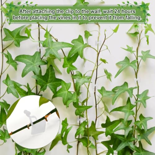 100 Pcs Plant Climbing Wall Fixture Clips, White Plant Fixer with Self-Adhesive Hook, Fixing Clip Vines Holder for Indoor Outdoor Plants Support Cable Wire (Medium)