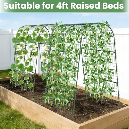 Cucumber Trellis, Metal Garden Arch Trellis for Raised Bed, 32 x 48inch U-Shape Garden Trellis for Climbing Plants Outdoor, Vegetables Fruit Plant Support with Netting, Gardening Supplies (Green) - size: 32 x 48 inch