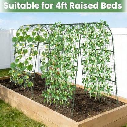 Cucumber Trellis, Metal Garden Arch Trellis for Raised Bed, 32 x 48inch U-Shape Garden Trellis for Climbing Plants Outdoor, Vegetables Fruit Plant Support with Netting, Gardening Supplies (Green) - size: 32 x 48 inch