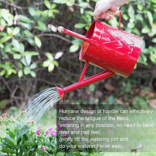 1 Gallon Red Metal Watering Can, Removable Spout - color: Red, size: 1 Gallon