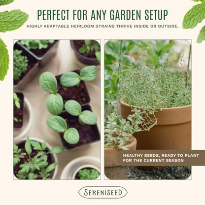 Sereniseed Certified Organic Herb Seeds 35-Pack | Non-GMO Heirloom Variety for Indoor Outdoor Culinary Gardening Gift Kit - size: 35-Pack